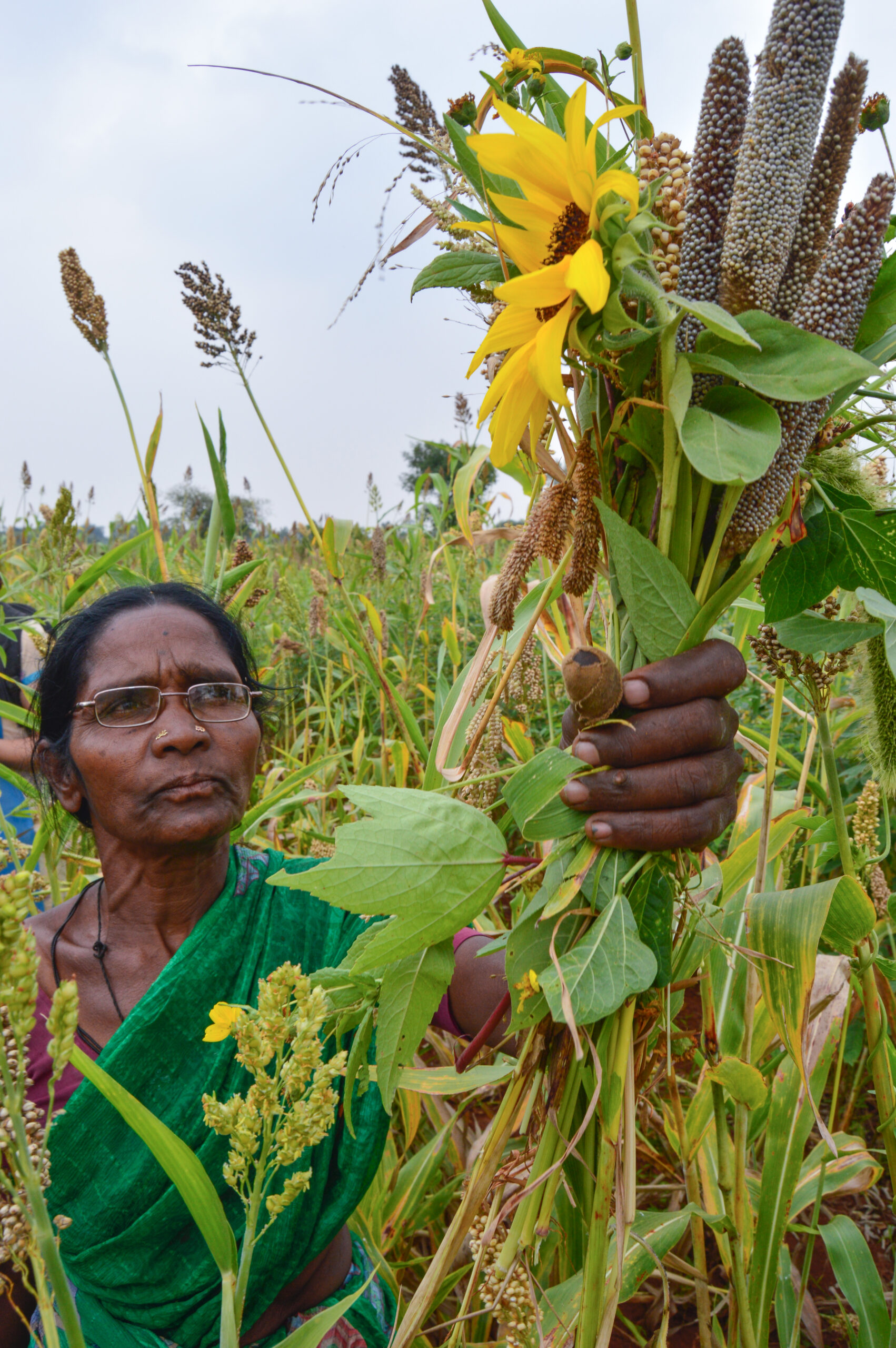 DDS farmer @ Ashish Kothari